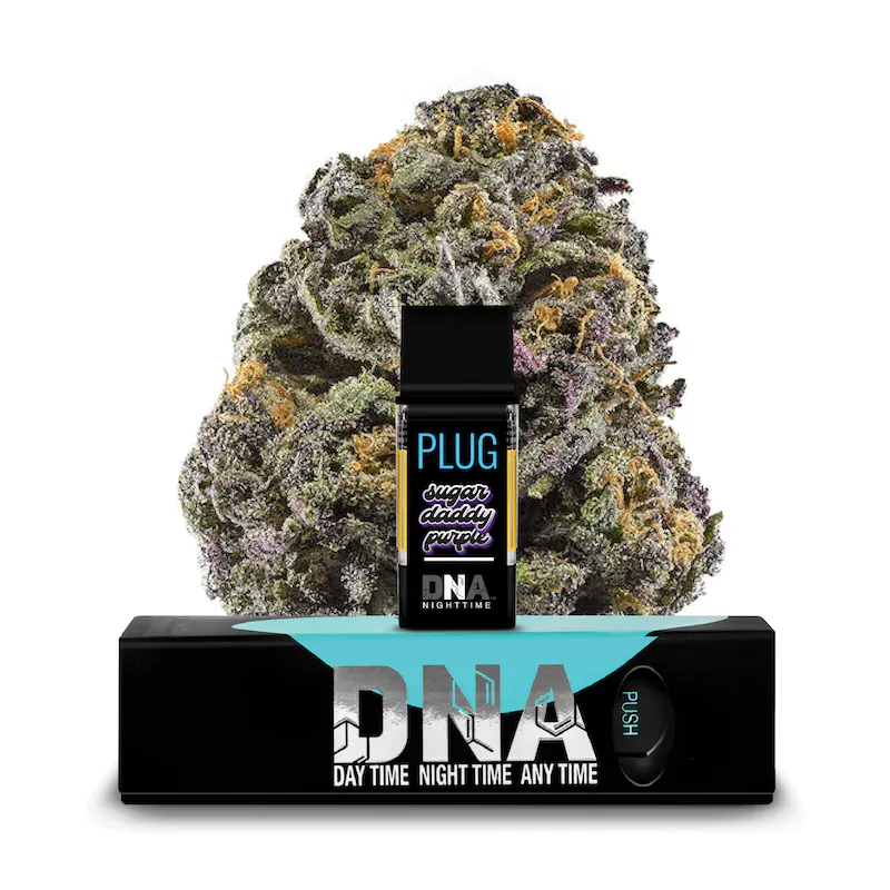 PLUGplay | PLUG™ DNA: Sugar Daddy Purple Pod – 1.0g