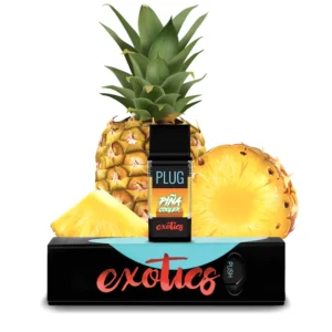 PLUGplay | PLUG™ EXOTICS: Piña Cooler Pod – 1.0g