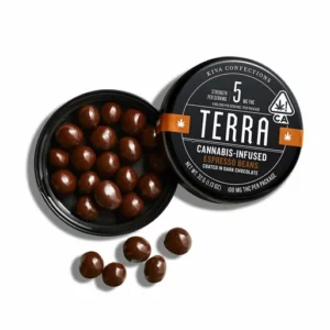 Terra Bites Chocolate Espresso Beans (H)